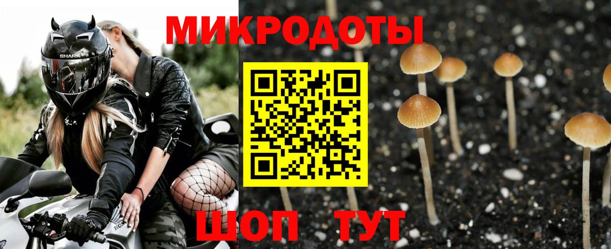 Галлюциногенные грибы Psilocybe  Вход с VPN  Галлюциногенные грибы мухоморы  Оренбург 